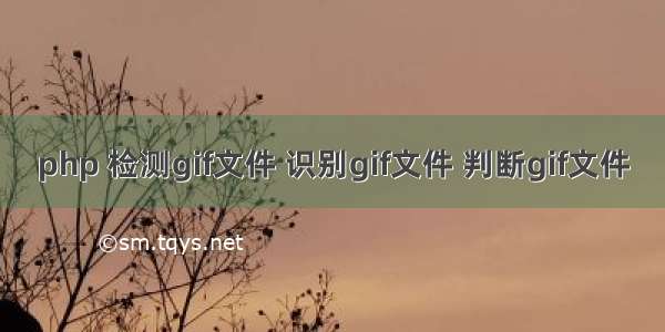 php 检测gif文件 识别gif文件 判断gif文件