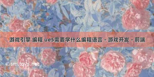 游戏引擎 编程 ue5需要学什么编程语言 – 游戏开发 – 前端