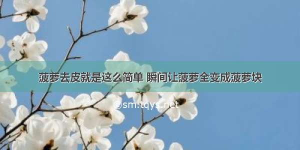 菠萝去皮就是这么简单 瞬间让菠萝全变成菠萝块