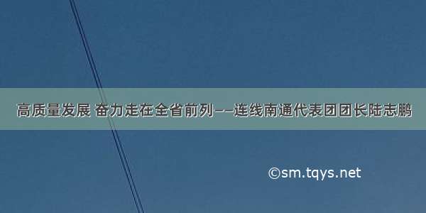 高质量发展 奋力走在全省前列——连线南通代表团团长陆志鹏