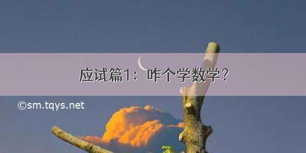 应试篇1：咋个学数学？