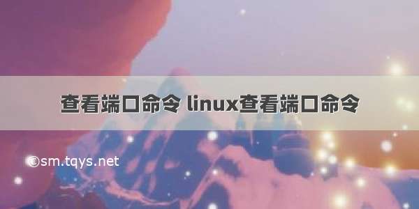 查看端口命令 linux查看端口命令