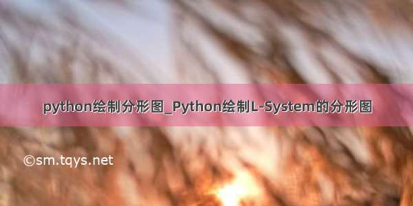 python绘制分形图_Python绘制L-System的分形图