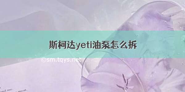 斯柯达yeti油泵怎么拆