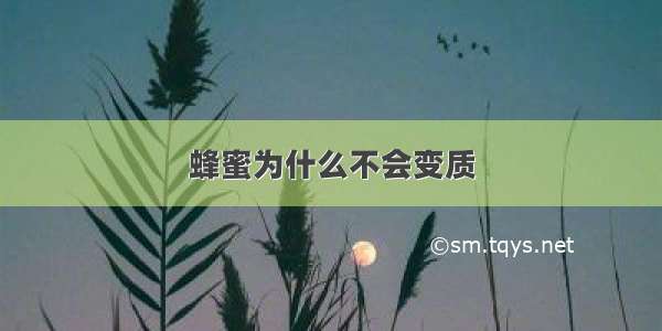 蜂蜜为什么不会变质