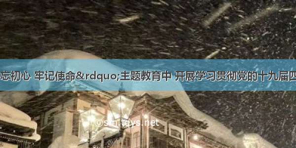 关于在&ldquo;不忘初心 牢记使命&rdquo;主题教育中 开展学习贯彻党的十九届四中全会精神主题征