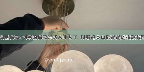 明星捐款: 刘欢的捐款方式太吓人了  佩服赵本山郭晶晶的捐款数额