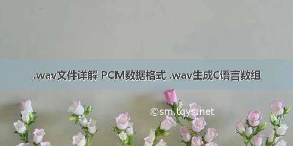 .wav文件详解 PCM数据格式 .wav生成C语言数组