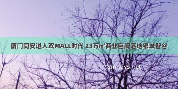 厦门同安进入双MALL时代 23万㎡商业巨舰落地银城智谷