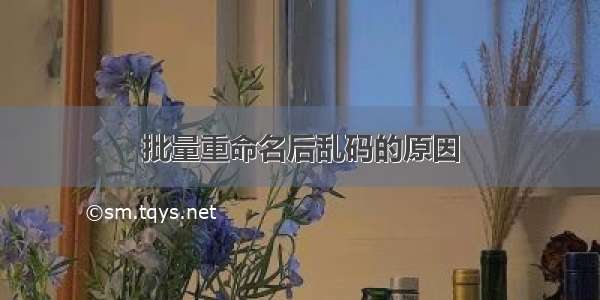 批量重命名后乱码的原因