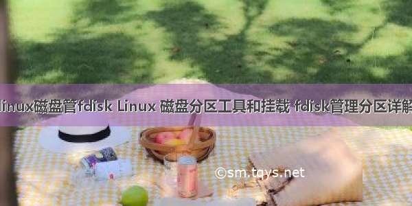 linux磁盘管fdisk Linux 磁盘分区工具和挂载 fdisk管理分区详解