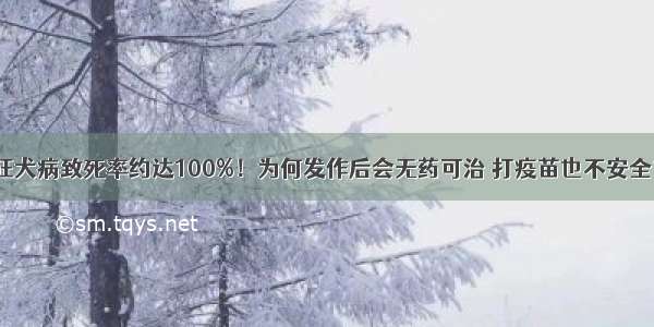 狂犬病致死率约达100%！为何发作后会无药可治 打疫苗也不安全？