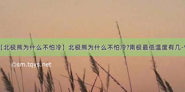 【北极熊为什么不怕冷】北极熊为什么不怕冷?南极最低温度有几-℃?