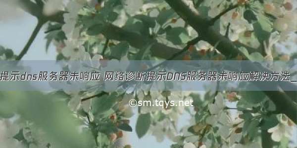 提示dns服务器未响应 网络诊断提示DNS服务器未响应解决方法_