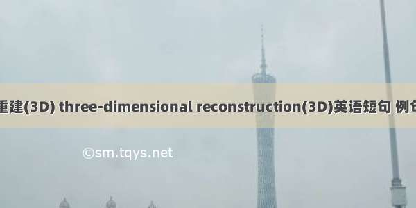 三维重建(3D) three-dimensional reconstruction(3D)英语短句 例句大全