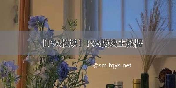 【PM模块】PM模块主数据