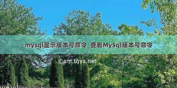 mysql显示版本号命令_查看MySql版本号命令