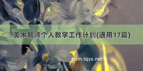 美术教师个人教学工作计划(通用17篇)