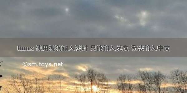 linux 使用搜狗输入法时 只能输入英文 无法输入中文