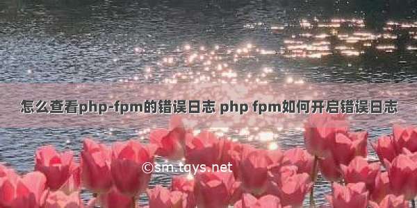 怎么查看php-fpm的错误日志 php fpm如何开启错误日志