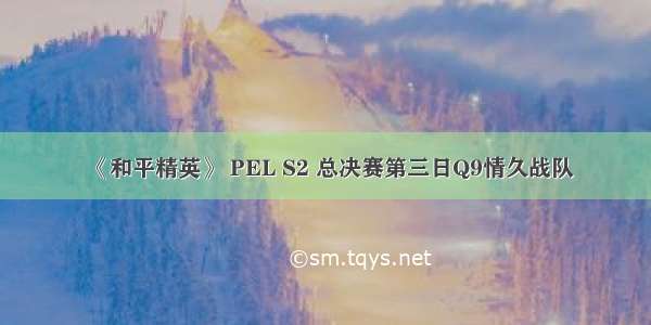 《和平精英》 PEL S2 总决赛第三日Q9情久战队