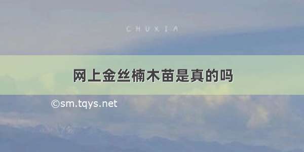 网上金丝楠木苗是真的吗