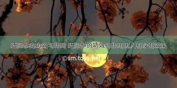 还阳参的功效与作用 还阳参的功效与作用男人有没有效果