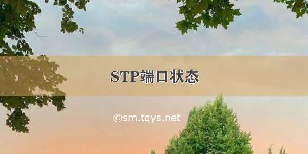 STP端口状态