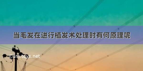 当毛发在进行植发术处理时有何原理呢