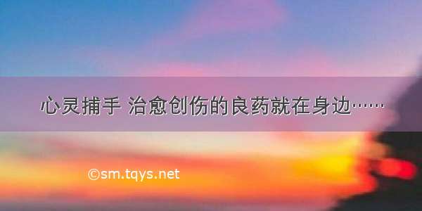 心灵捕手 治愈创伤的良药就在身边……