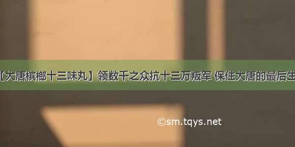 【大唐槟榔十三味丸】领数千之众抗十三万叛军 保住大唐的最后生机