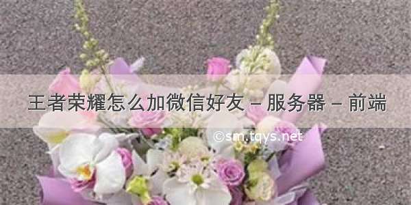 王者荣耀怎么加微信好友 – 服务器 – 前端