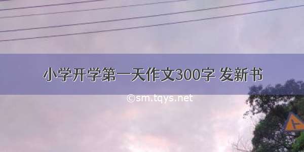 小学开学第一天作文300字 发新书