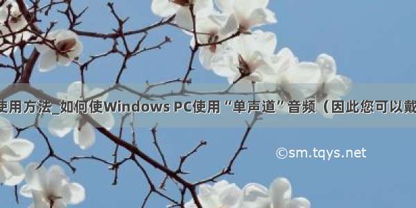 topwin耳塞使用方法_如何使Windows PC使用“单声道”音频（因此您可以戴一副耳塞）...