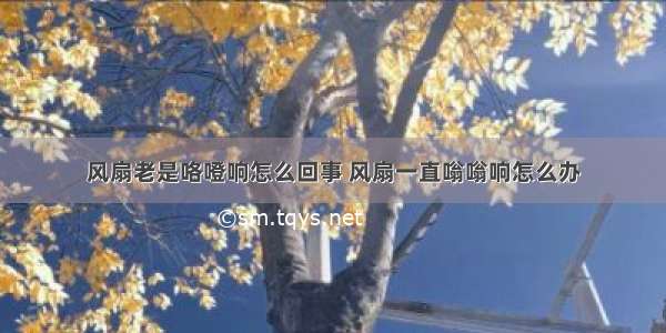 风扇老是咯噔响怎么回事 风扇一直嗡嗡响怎么办