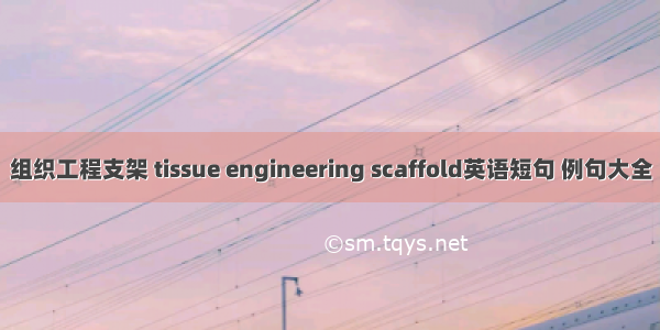 组织工程支架 tissue engineering scaffold英语短句 例句大全