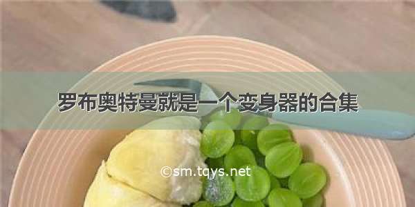 罗布奥特曼就是一个变身器的合集