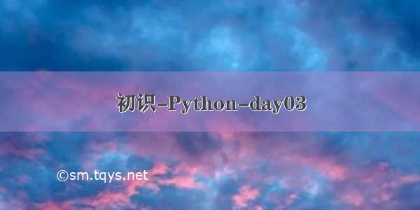 初识-Python-day03