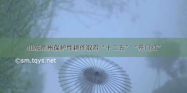 山东德州保护性耕作取得“十二五”“开门红”