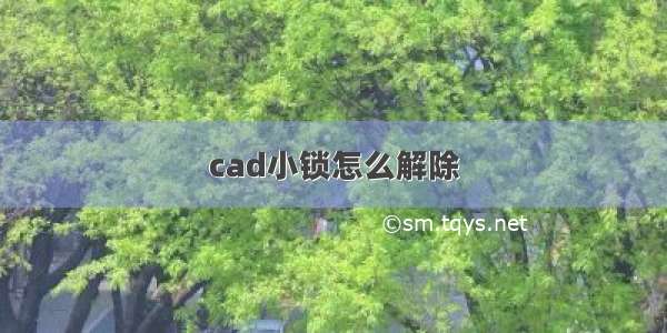 cad小锁怎么解除