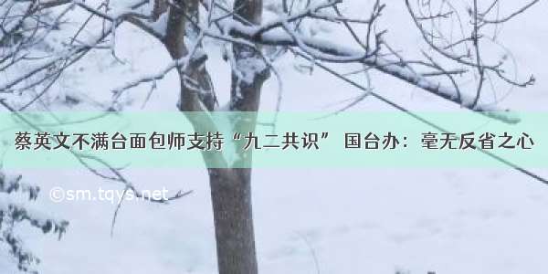 蔡英文不满台面包师支持“九二共识” 国台办：毫无反省之心