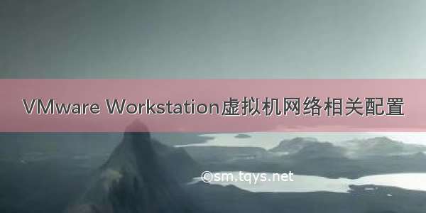 VMware Workstation虚拟机网络相关配置