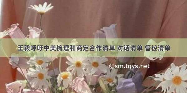 王毅呼吁中美梳理和商定合作清单 对话清单 管控清单