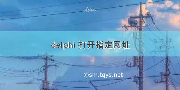 delphi 打开指定网址