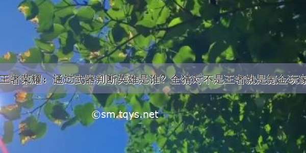 王者荣耀：通过武器判断英雄是谁？全猜对不是王者就是氪金玩家