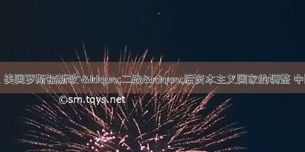 苏俄新经济政策 美国罗斯福新政 &ldquo;二战&rdquo;后资本主义国家的调整 中国的改革开放 四