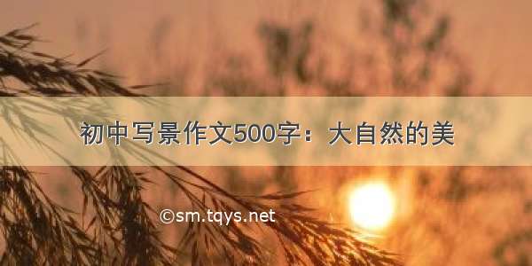 初中写景作文500字：大自然的美