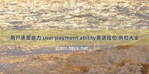 用户承受能力 user payment ability英语短句 例句大全