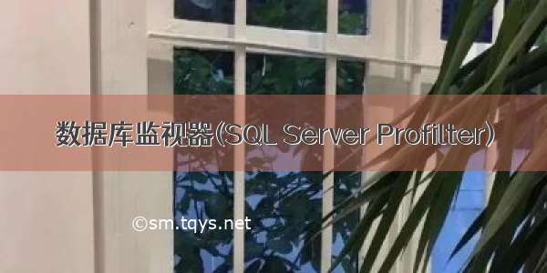 数据库监视器(SQL Server Profilter)