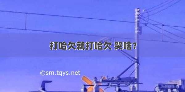 打哈欠就打哈欠 哭啥？